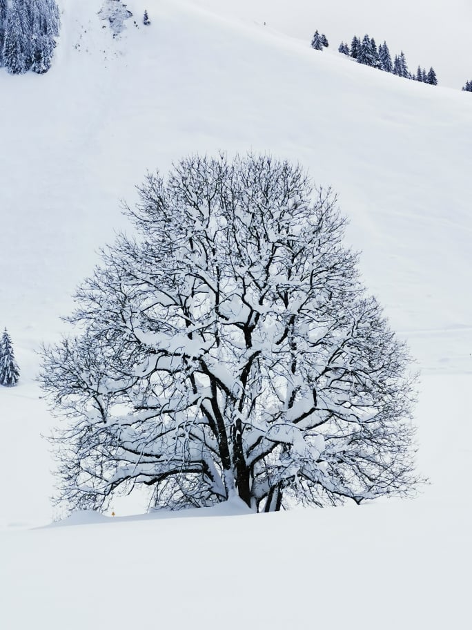 Randonnée du lac des Confins