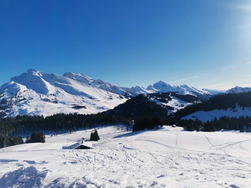 Panorama sur les hauteurs