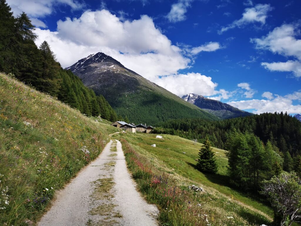 Chemin vers le hameau