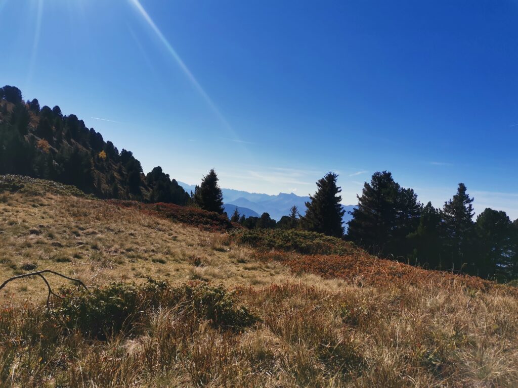 Chemin retour Chamrousse