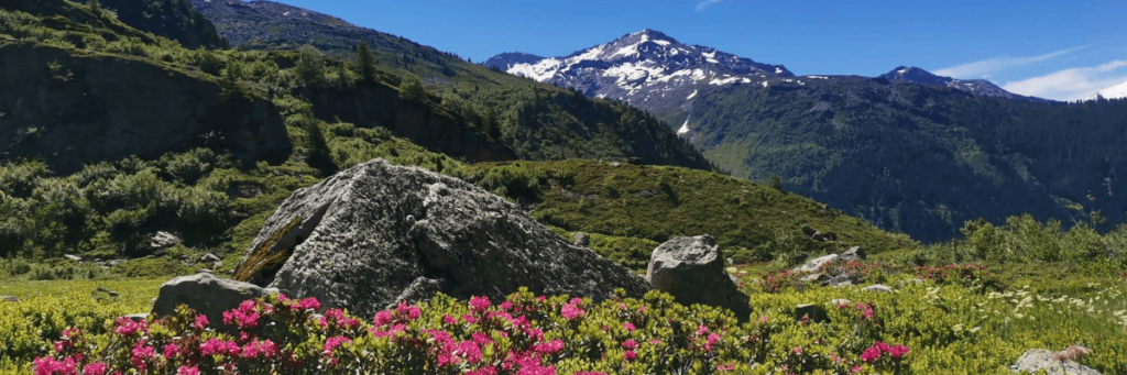 Hauteurs de Sainte-Foy-la-Tarentaise