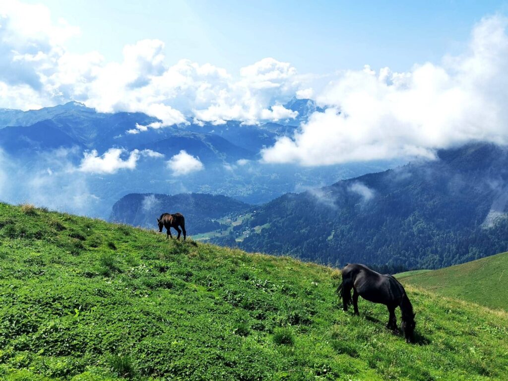 En chemin vers la Pointe de Golèse