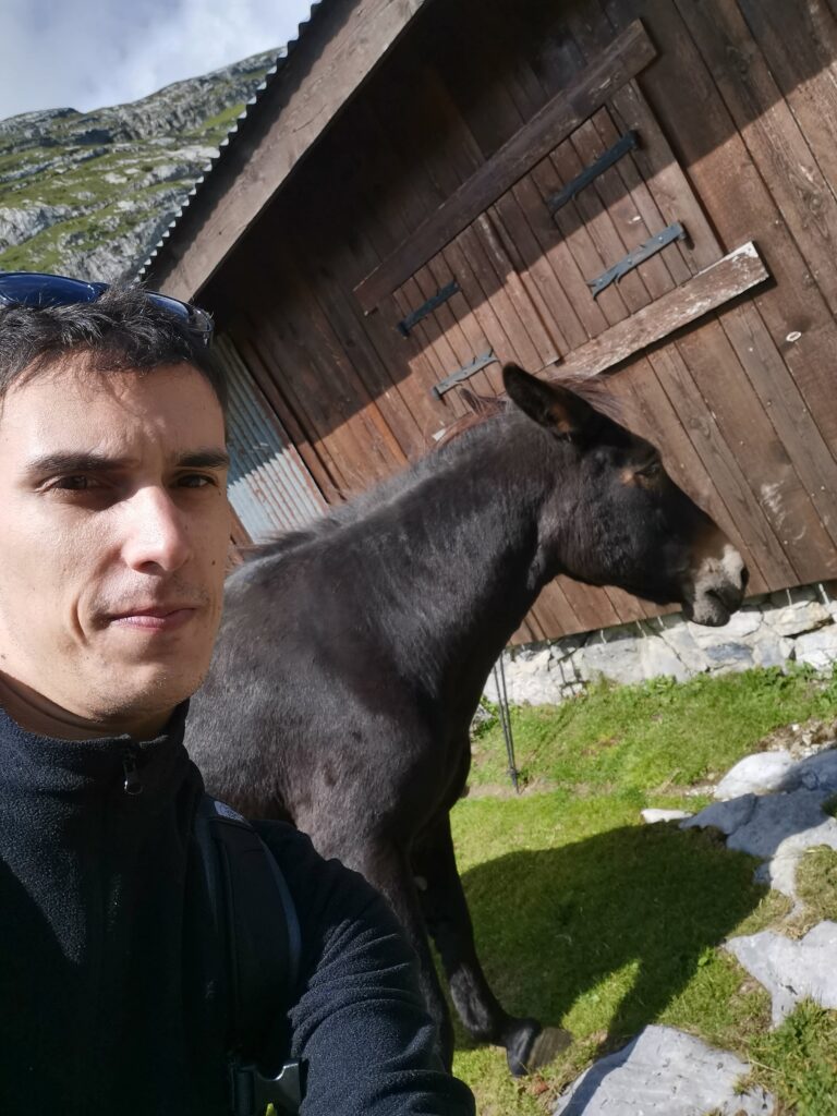 Deux ânes sur les hauteurs de Samoëns