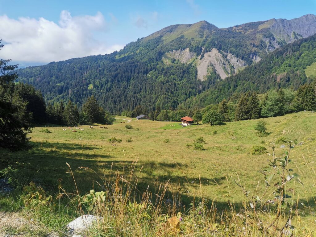 En chemin vers la Pointe de Golèse