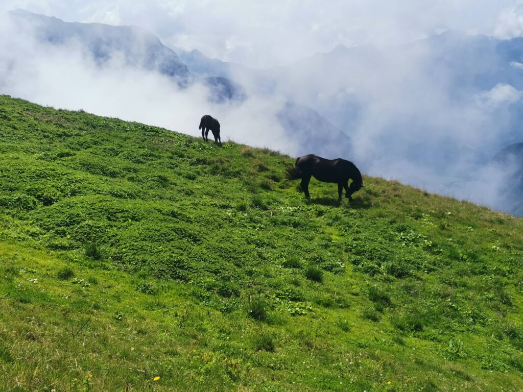 En chemin vers la Pointe de Golèse