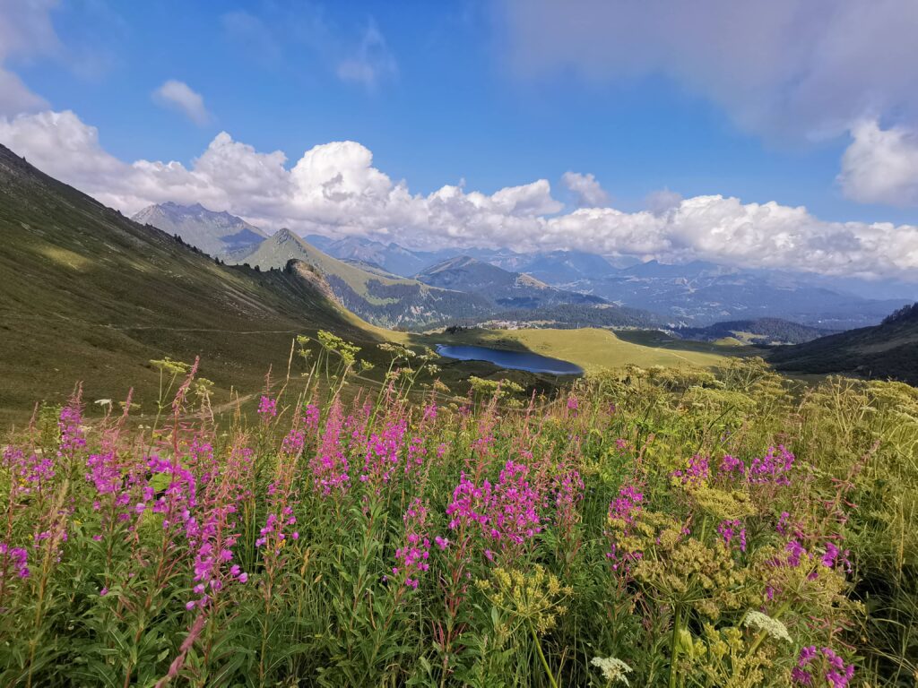 Panorama sur Lac du Roy