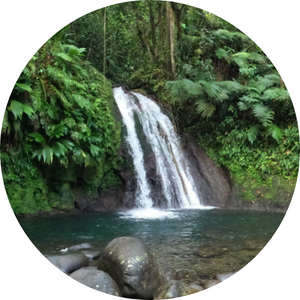 Cascade aux écrevisses, Guadeloupe