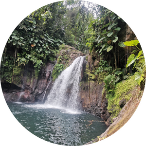 Saut de la Lézarde, Guadeloupe