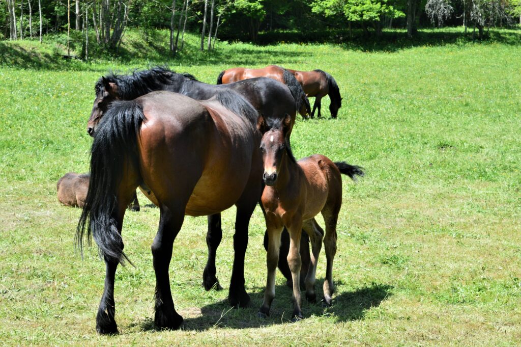 Rencontres au hameau de la Trésanne