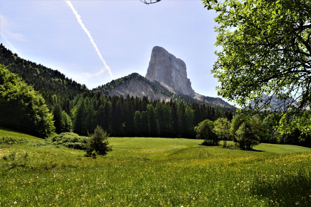 Prairie au pied du Mont Aiguille