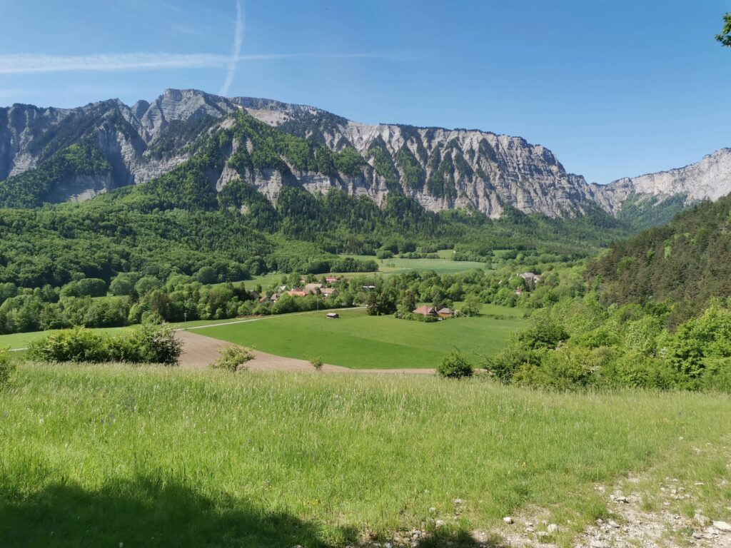 Vue sur les prairies de Richardière