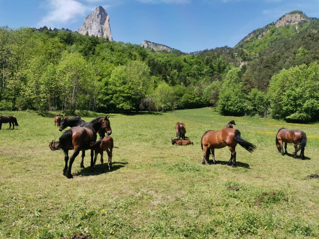 Rencontres au hameau de la Trésanne