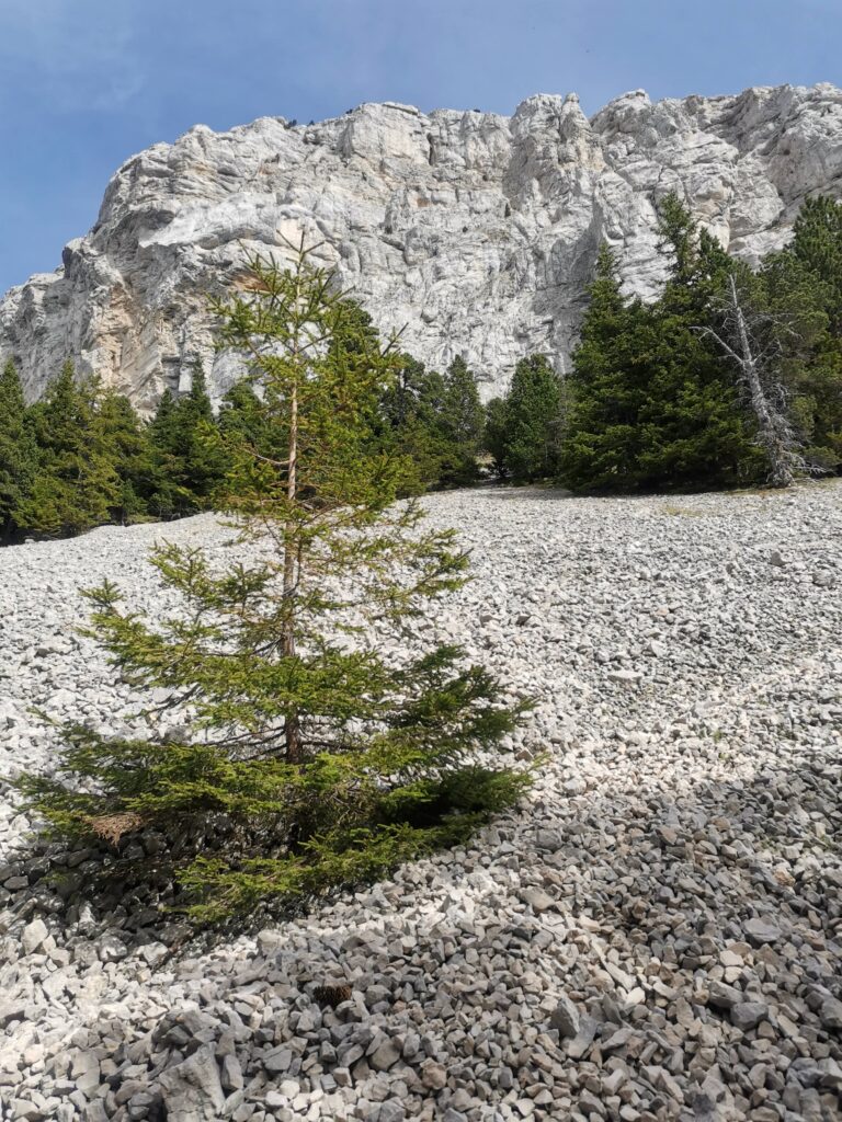 Au pied du Mont Aiguille