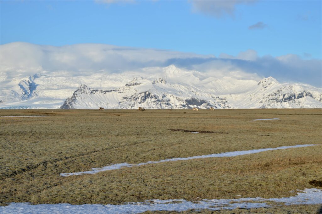 Glacier islandais