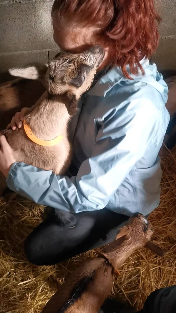 Moment avec les chevreaux