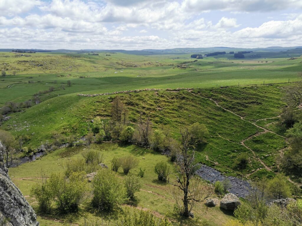 L'Aubrac