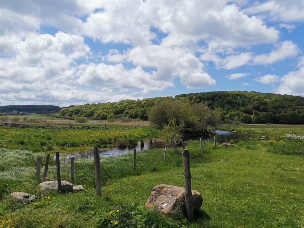 L'Aubrac