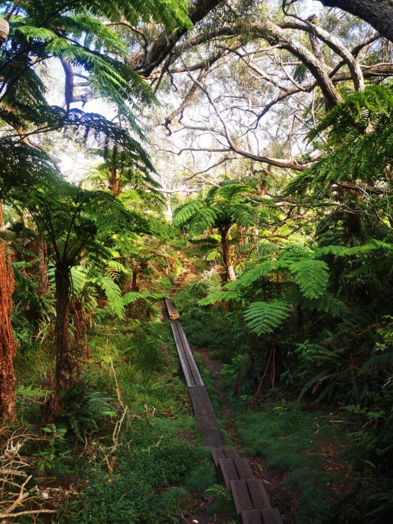 Sur le sentier de Trou de Fer