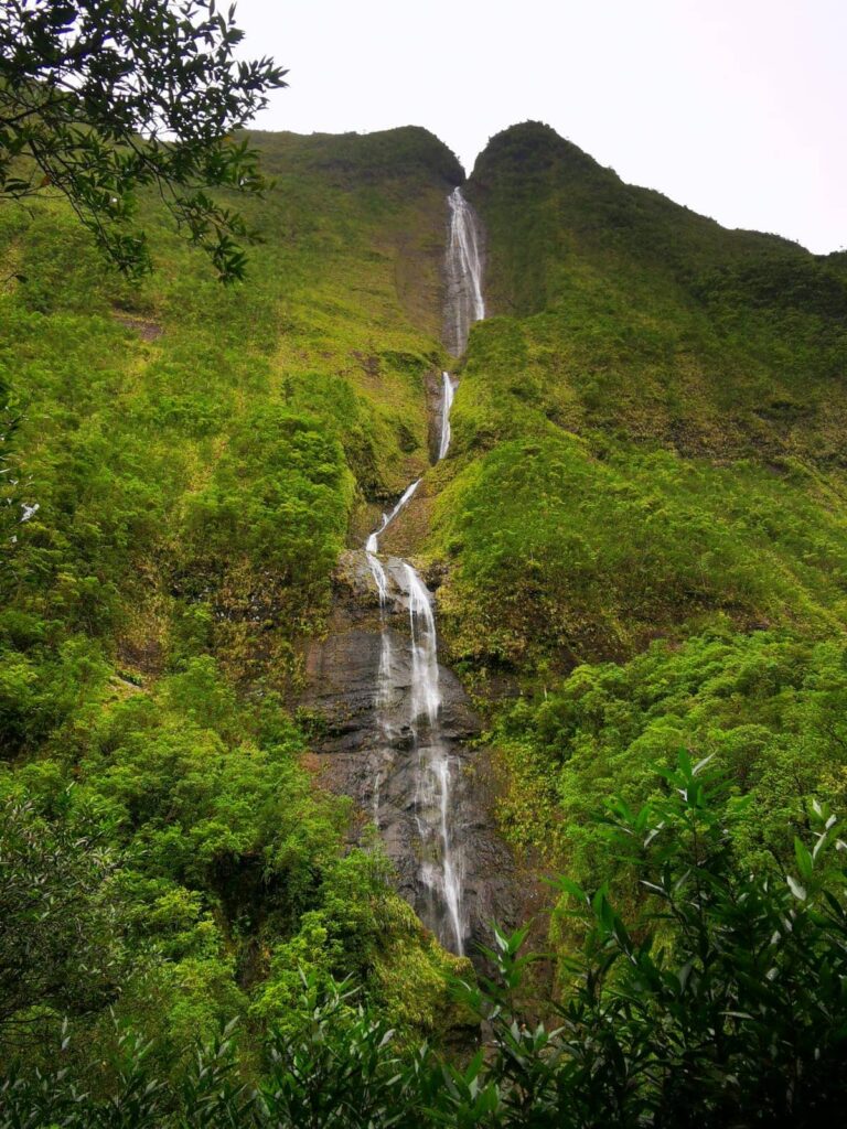 Cascade Blanche, Salazie