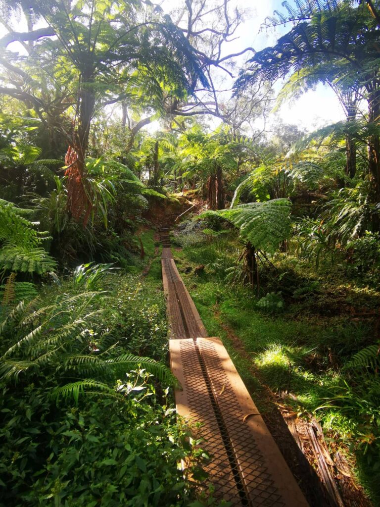 Le sentier de Trou de Fer