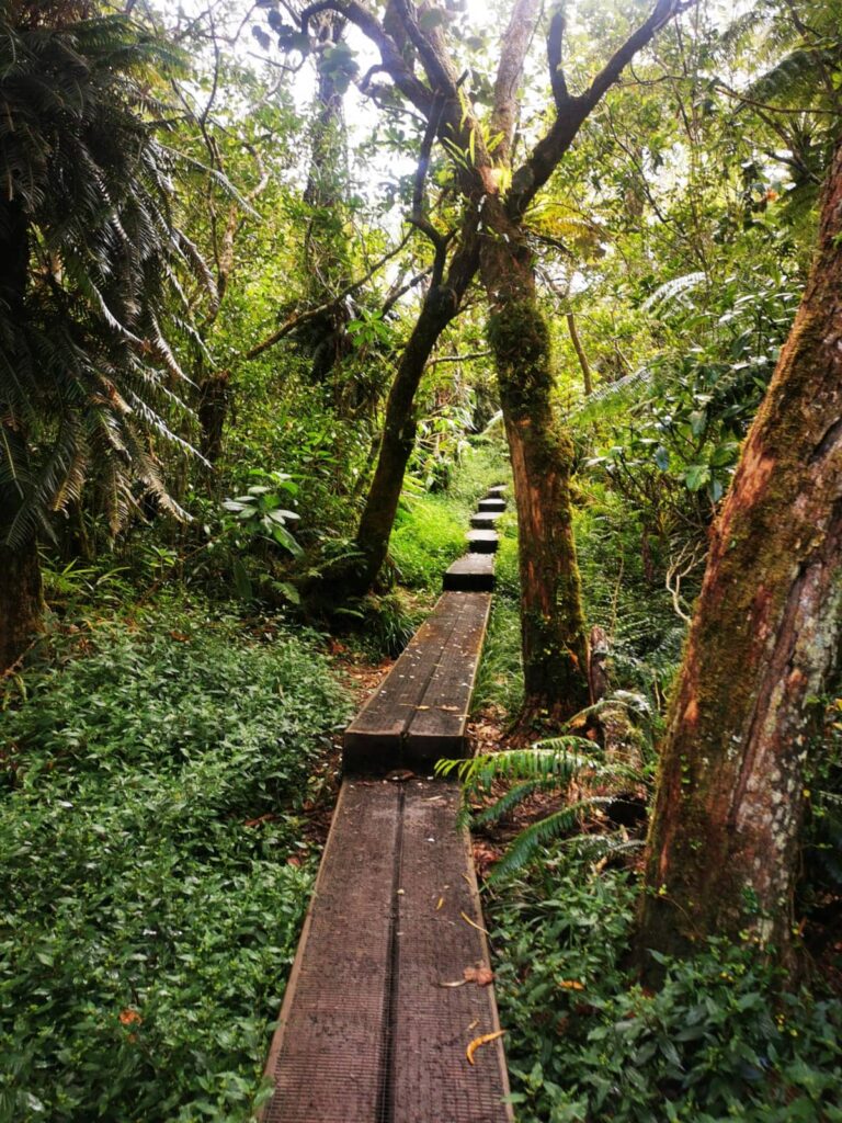 Le sentier de Trou de Fer