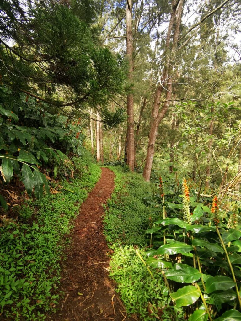 Sur les sentiers de Mafate