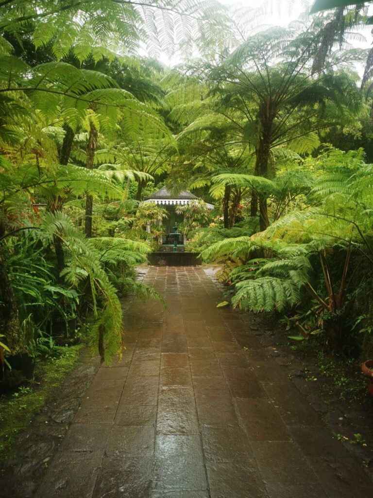Maison Folio, Hell-Bourg, La Réunion