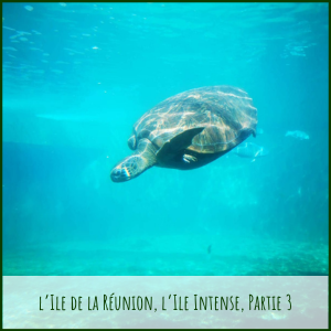 La Réunion, article 3