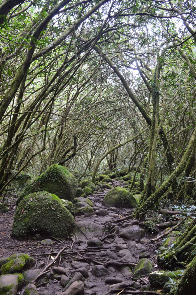 Sur le chemin de la Cascade Blanche