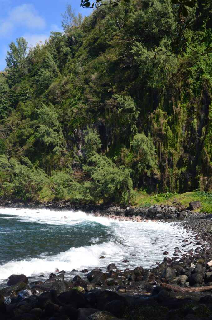 L'Anse des Cascades, La Réunion