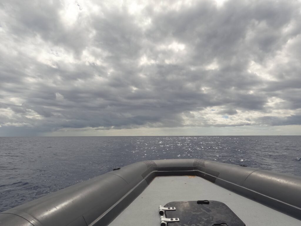 Expédition baleine à St-Gilles