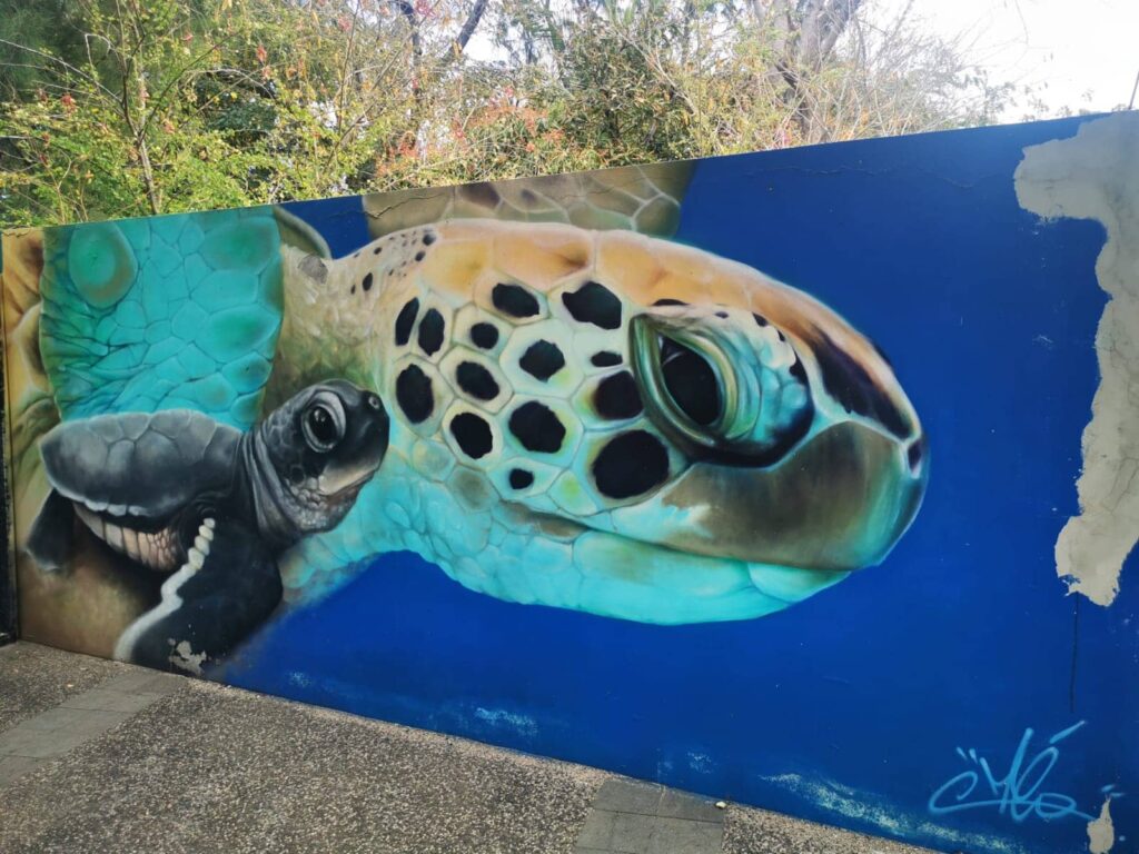 Kelonia, La Réunion