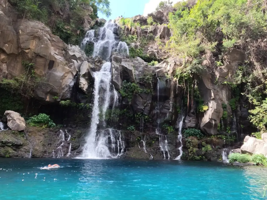 Bassin des Aigrettes, La Réunion