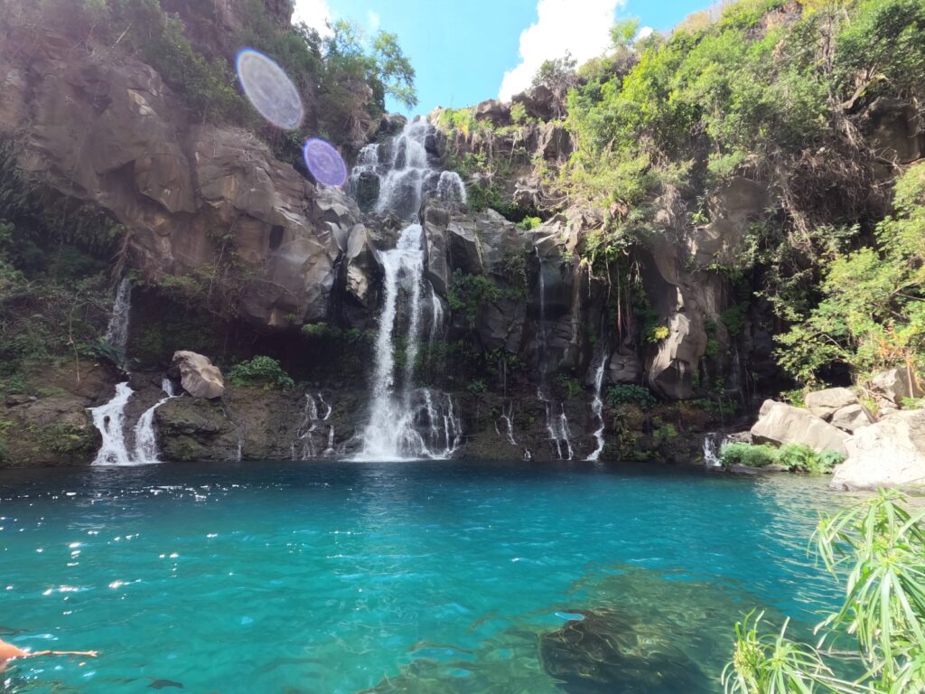 Bassin des Aigrettes, La Réunion