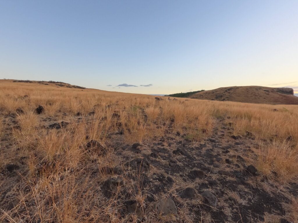 La Savane, Cap de la Houssaye