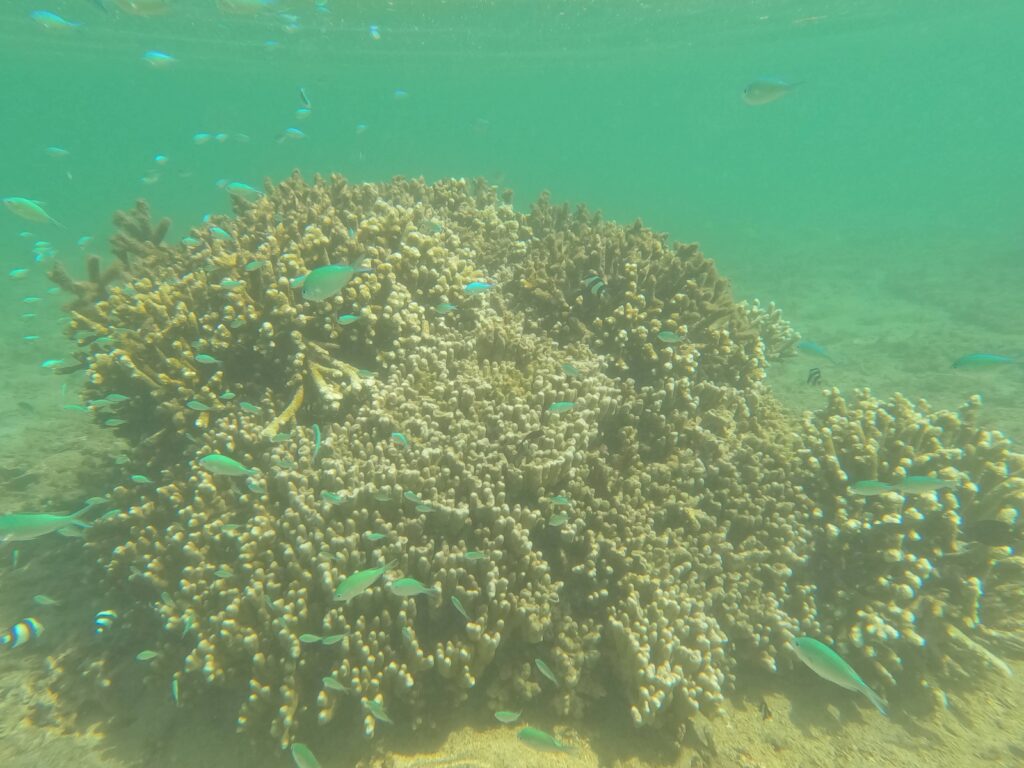 Plage de l'Hermitage, La Réunion