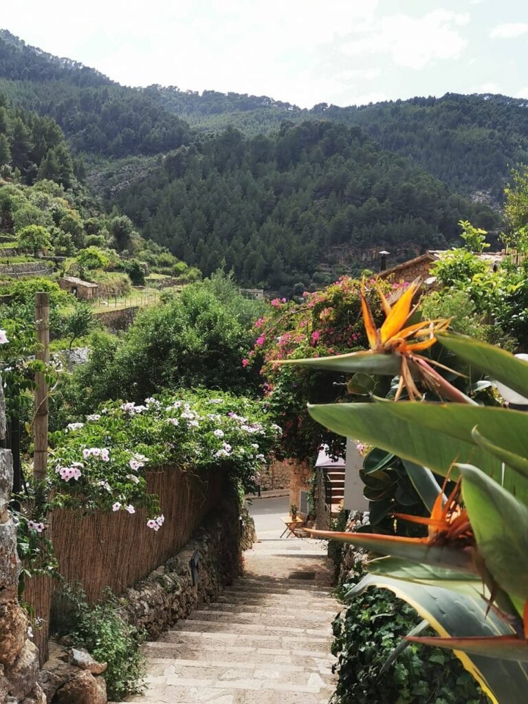 Deia, Majorque