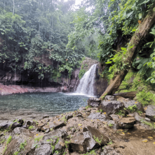 Le Saut de la Lézarde