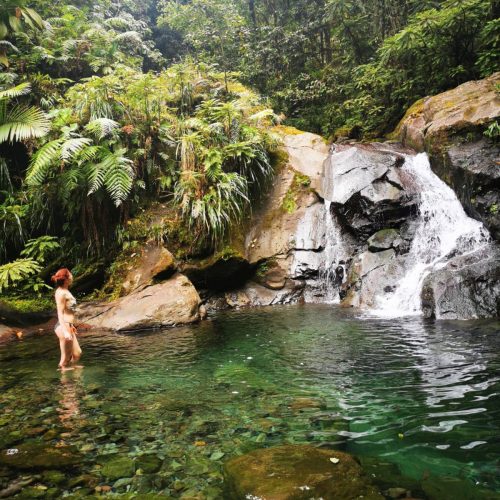 Bassin paradis, Basse-Terre
